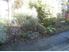 TURANGI - INVESTORS OPPORTUNITY