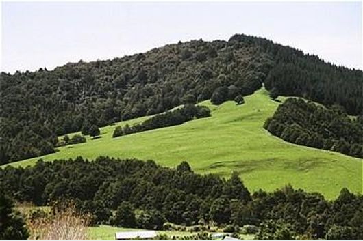 A UNIQUE HAVEN - 1 HECTARE OF GENTLY SLOPING NORTH FACING LAND...