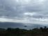 Sea For Yourself!
