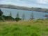 Sandy Bay Section