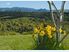 Country Lifestyle And Income