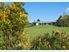 Country Lifestyle And Income