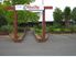 TITLED FREEHOLD SECTIONS SELLING