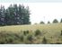 2.51ha a Lifestyle to Enjoy