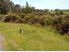 Excellent Development Opportunity Build Your Dream Home Here