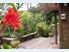 Bird Song Cottage
