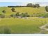 Urgent Relocation - Count your Blessings 2.7366 Ha