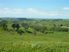 Great Water and Rural Views