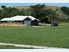 Get in and Build your Dream Pronto, this Gisborne Subdivision is More Popular than you Think!