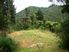 Tranquil Bush Hideaway