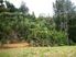 Tranquil Bush Hideaway