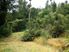 Tranquil Bush Hideaway