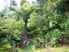 Tranquil Bush Hideaway