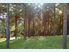Wellsford Forestry