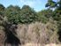 LARGE BUSH BLOCK