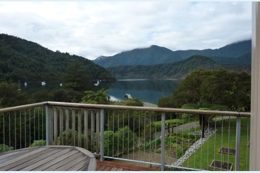 Watch the dolphins play from the comfort of your own balcony