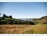 WHITIANGA FIELD OF DREAMS