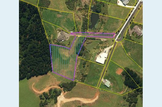 WHITIANGA FIELD OF DREAMS