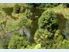 Halstead Farm, B&B and Tourism development opportunity for sale in Dannevirke