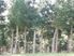 Kaka Point District
