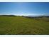 ISLAND PARADISE OPPORTUNITY