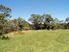 Near New in Ngunguru