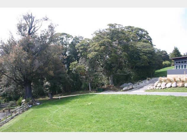 Dating auction website-in-Mount Ruapehu