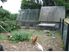 Amazing Homestead at Te Arai (Tomarata)
