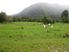 40ha Ideal Lifestyle Block Franz Josef