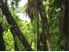 LAKE OKAREKA SECTION