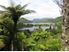 LAKE OKAREKA SECTION