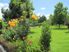 YOUR OWN PRIVATE OASIS