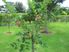 YOUR OWN PRIVATE OASIS