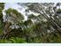 NATIVE BUSH HIDEAWAY