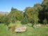 TOP OF THE CROWN