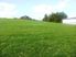 THIS SITE DESERVES A HOME