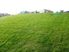 THIS SITE DESERVES A HOME