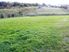 THIS SITE DESERVES A HOME