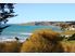 Kiwiana Magic
