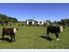 Mount & Rural Views