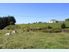 Mount & Rural Views