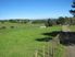 TOTARA VALLEY SURPRISE