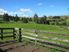 TOTARA VALLEY SURPRISE