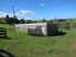 TOTARA VALLEY SURPRISE