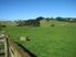 TOTARA VALLEY SURPRISE