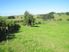 TOTARA VALLEY SURPRISE