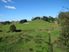 TOTARA VALLEY SURPRISE