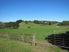 TOTARA VALLEY SURPRISE