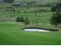 Huge Potential-subdivision and business