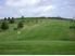 Huge Potential-subdivision and business